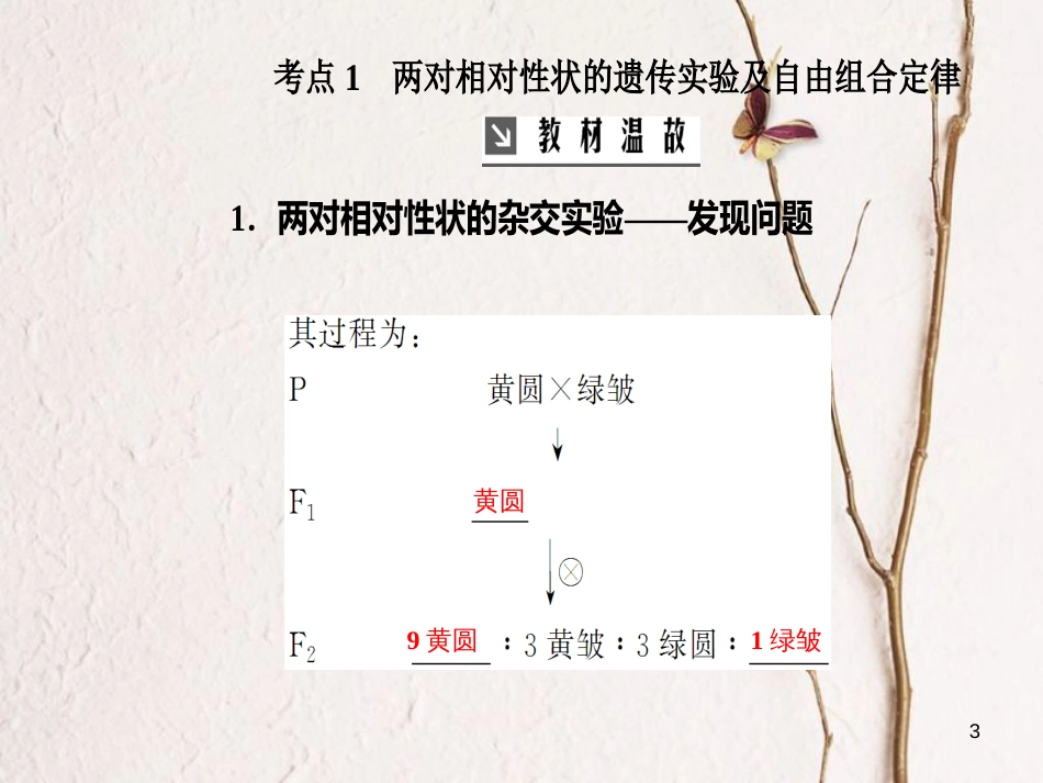 2019版高考生物总复习 第五单元 遗传定律和伴性遗传 第2讲 孟德尔豌豆杂交实验（二）课件_第3页