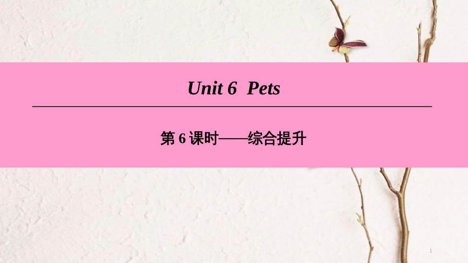 （广州沈阳通用）八年级英语下册 Unit 6 Pets（第6课时）综合提升课件 牛津深圳版_第1页