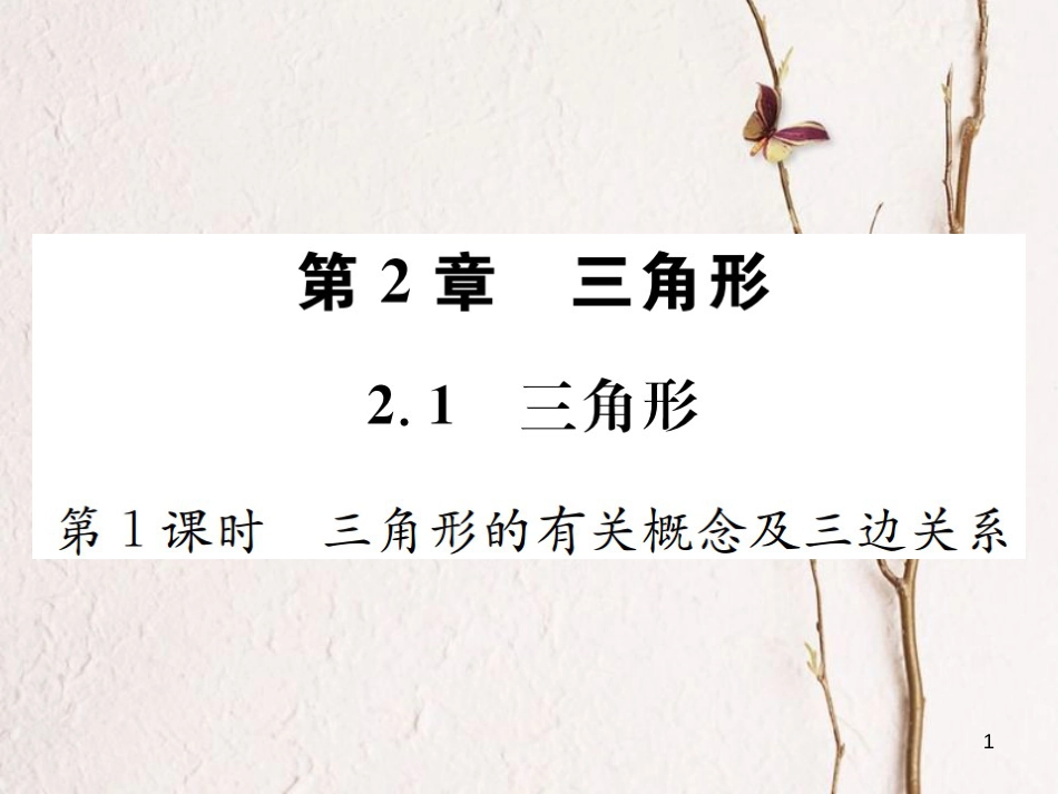 八年级数学上册 2.1 三角形 第1课时 三角形的有关概念及三边关系习题课件 （新版）湘教版_第1页