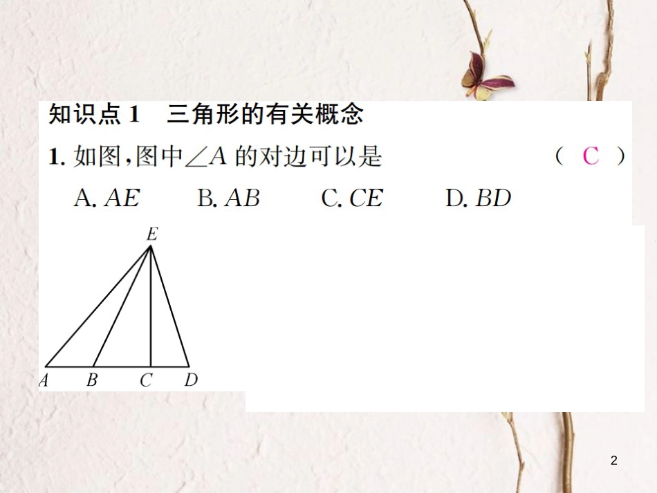 八年级数学上册 2.1 三角形 第1课时 三角形的有关概念及三边关系习题课件 （新版）湘教版_第2页