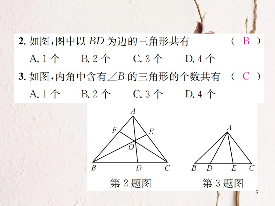 八年级数学上册 2.1 三角形 第1课时 三角形的有关概念及三边关系习题课件 （新版）湘教版_第3页