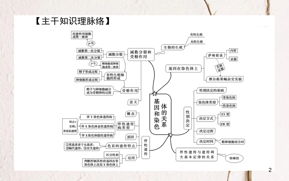 高中生物 第2章 基因和染色体的关系单元排查强化课件 新人教版必修2_第2页