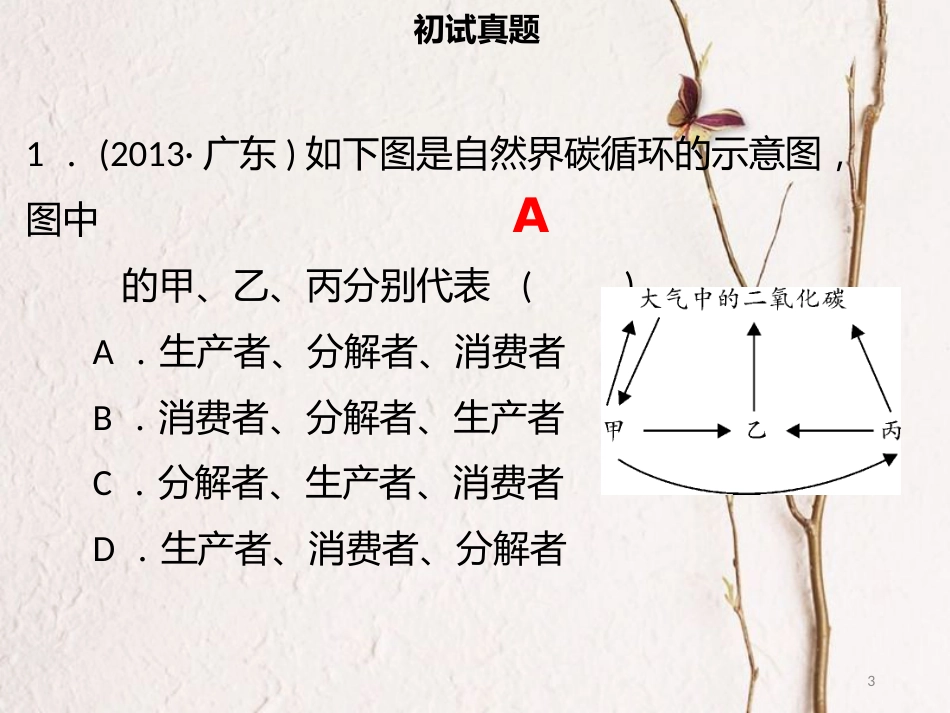 广东省中考生物 模块一 生物与环境 第三课时 生态系统课件_第3页