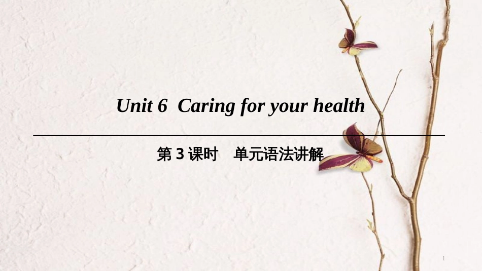 九年级英语下册 Module 3 Sport and health Unit 6 Caring for your health（第3课时）单元语法讲解课件 牛津深圳版_第1页