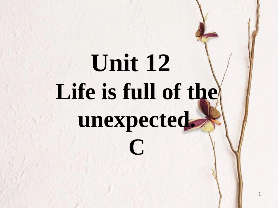 九年级英语全册 口头表达专练 Unit 12 Life is full of the unexpected C课件 （新版）人教新目标版_第1页