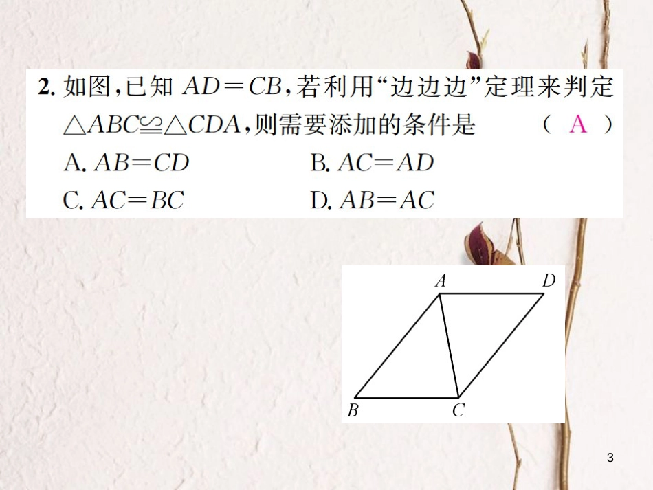 八年级数学上册 2.5 全等三角形 第5课时 全等三角形的判定4－SSS习题课件 （新版）湘教版_第3页