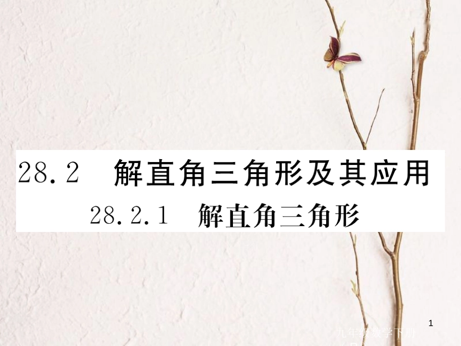 江西省2018年春九年级数学下册 第二十八章 锐角三角函数 28.2.1 解直角三角形练习课件 （新版）新人教版_第1页