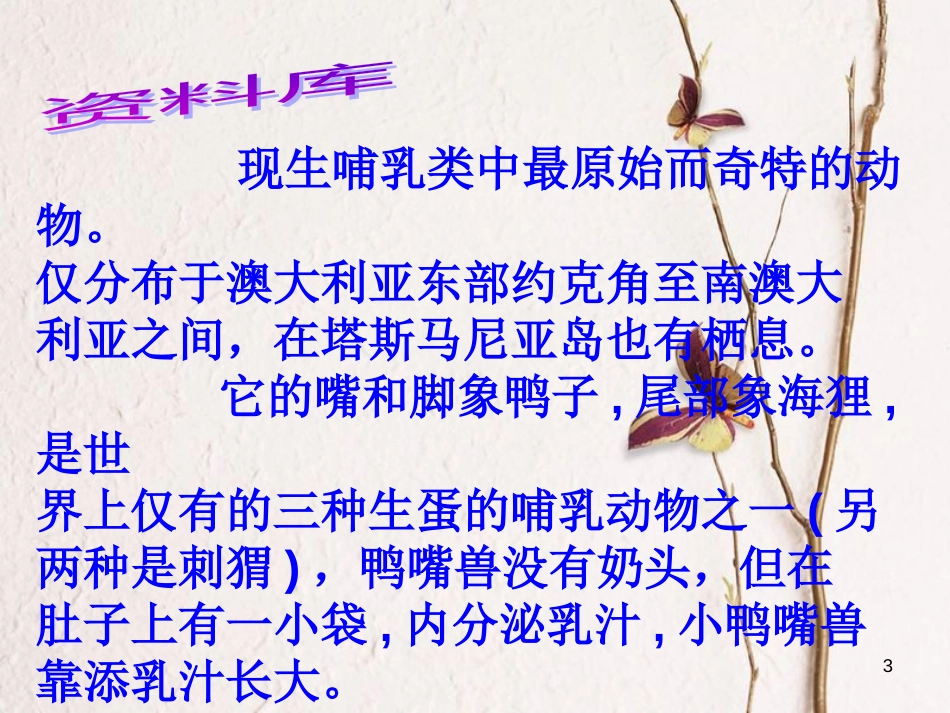 四年级科学上册 2.5 珍稀动物的保护课件1 湘教版_第3页