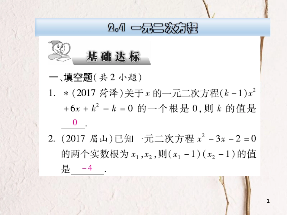 云南省中考数学总复习 第二章 方程（组）与不等式（组）2.4 一元二次方程课件_第1页