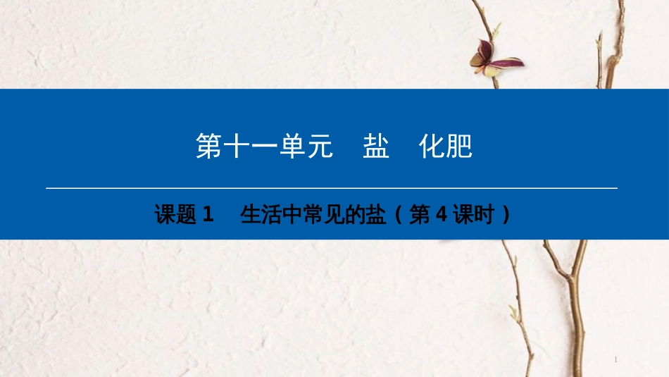 年九年级化学下册 第11单元 盐 化肥 课题1 生活中常见的盐(第4课时)课件 （新版）新人教版_第1页