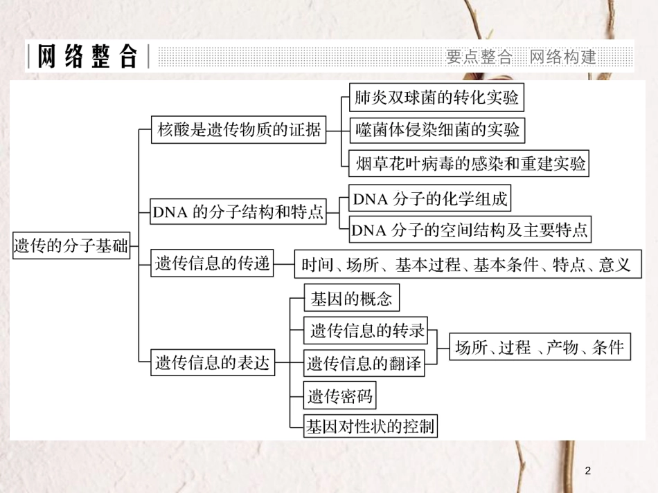 高中生物 第三章 遗传的分子基础章末整合同步备课课件 浙科版必修2_第2页