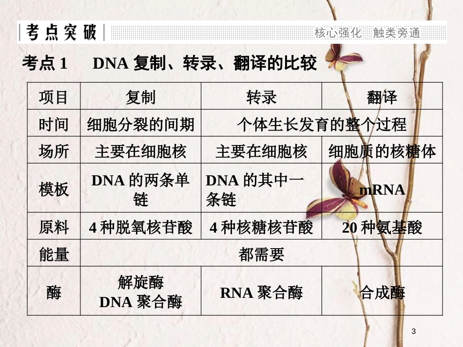 高中生物 第三章 遗传的分子基础章末整合同步备课课件 浙科版必修2_第3页