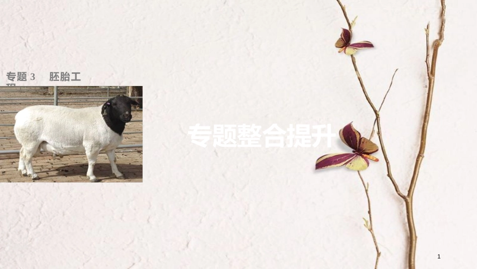 高中生物 专题3 胚胎工程专题整合提升课件 新人教版选修3_第1页