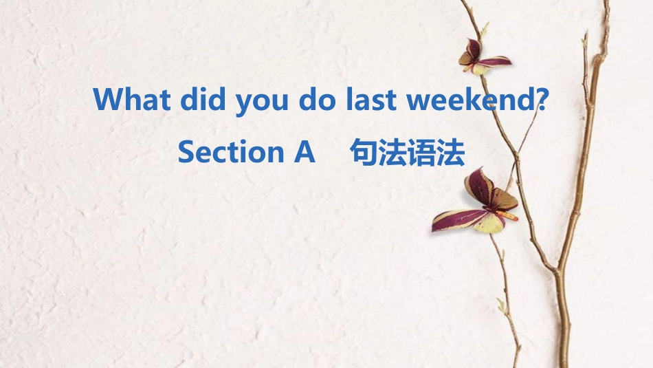 七年级英语下册 Unit 12 What did you do last weekend Section A句法语法课件 （新版）人教新目标版_第1页