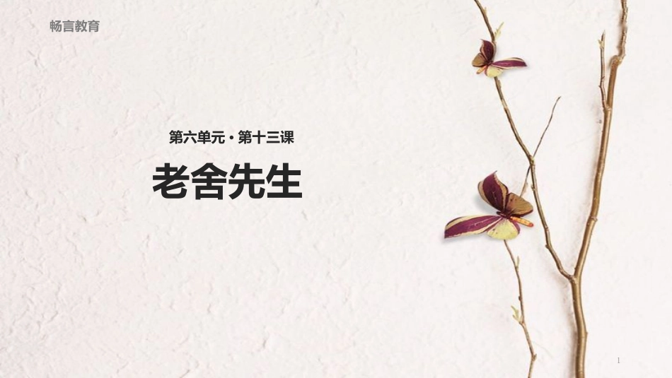 八年级语文下册 13《老舍先生》教学课件 长春版_第1页