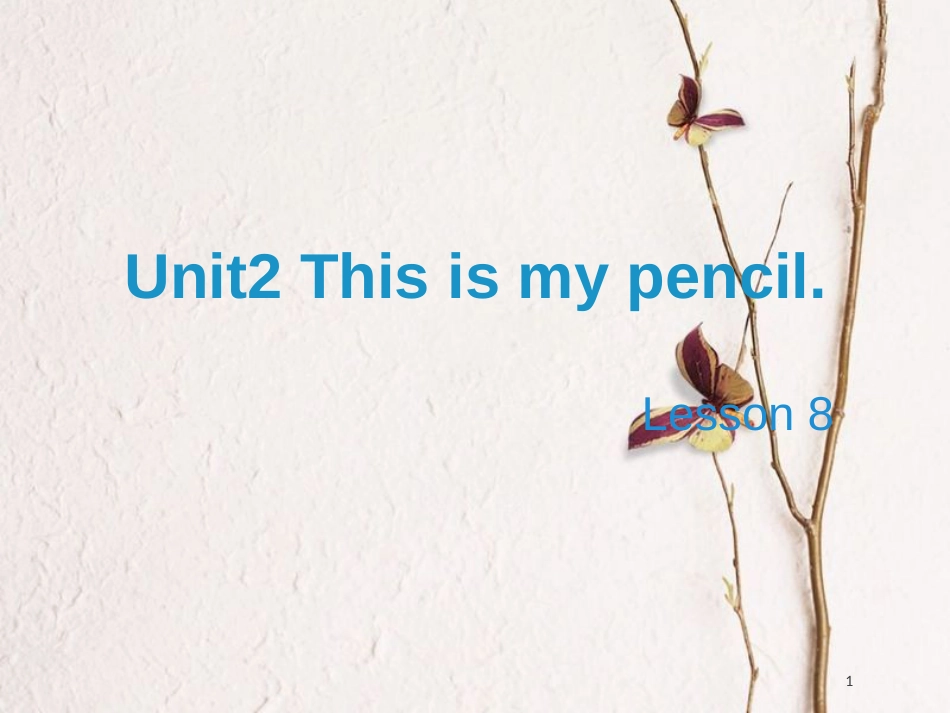 三年级英语上册 Unit 2 This is my pencil（Lesson 8）教学课件 人教精通版_第1页