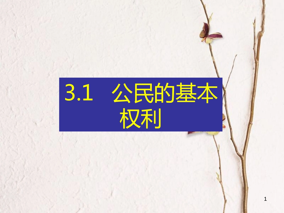 八年级道德与法治下册 第二单元 理解权利义务 第三课 公民权利 第1框 公民基本权利习题课件 新人教版_第1页