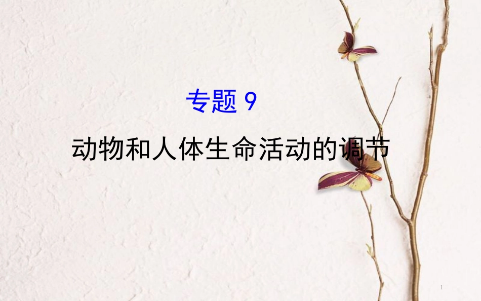 高三生物二轮复习 2.9 专题9 动物和人体生命活动的调节课件_第1页