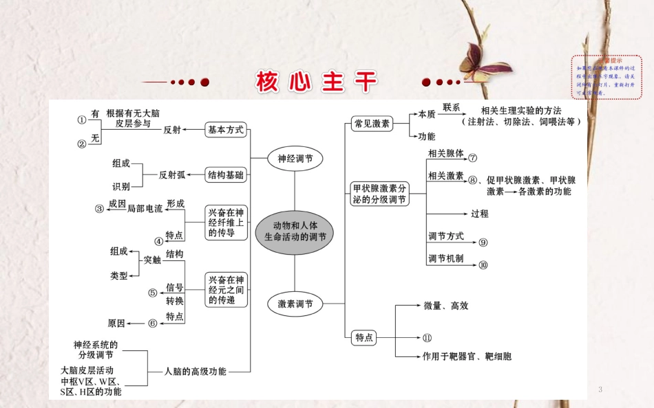 高三生物二轮复习 2.9 专题9 动物和人体生命活动的调节课件_第3页