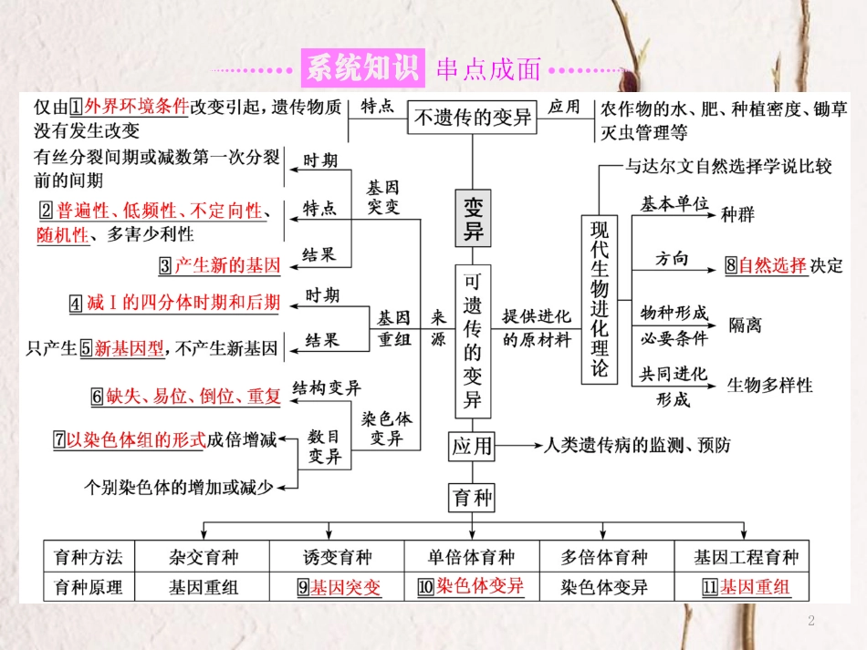 （全国通用）高考生物二轮复习 专题三 遗传 串讲三 变异、育种与进化 第1课时 基础自查课件_第2页