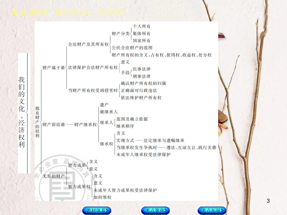 （鄂尔多斯专版）中考政治 八年级 第16课时 我们的文化、经济权利课件_第3页