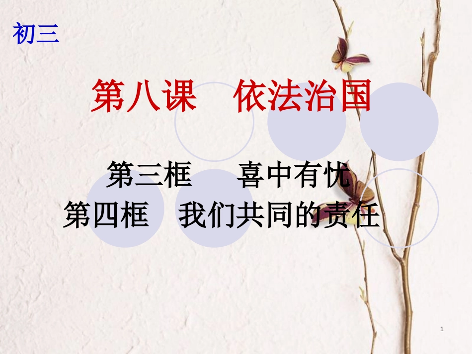 云南省个旧市九年级政治全册 第三单元 法治时代 第八课 依法治国 第3-4框 喜中有忧 我们共同的责任课件 人民版_第1页
