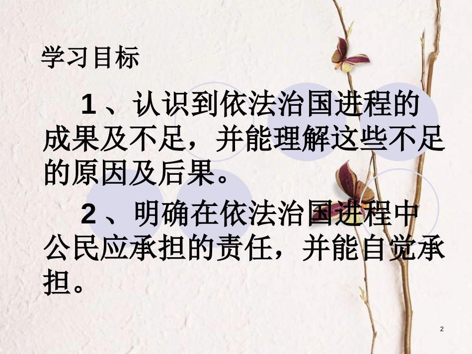 云南省个旧市九年级政治全册 第三单元 法治时代 第八课 依法治国 第3-4框 喜中有忧 我们共同的责任课件 人民版_第2页