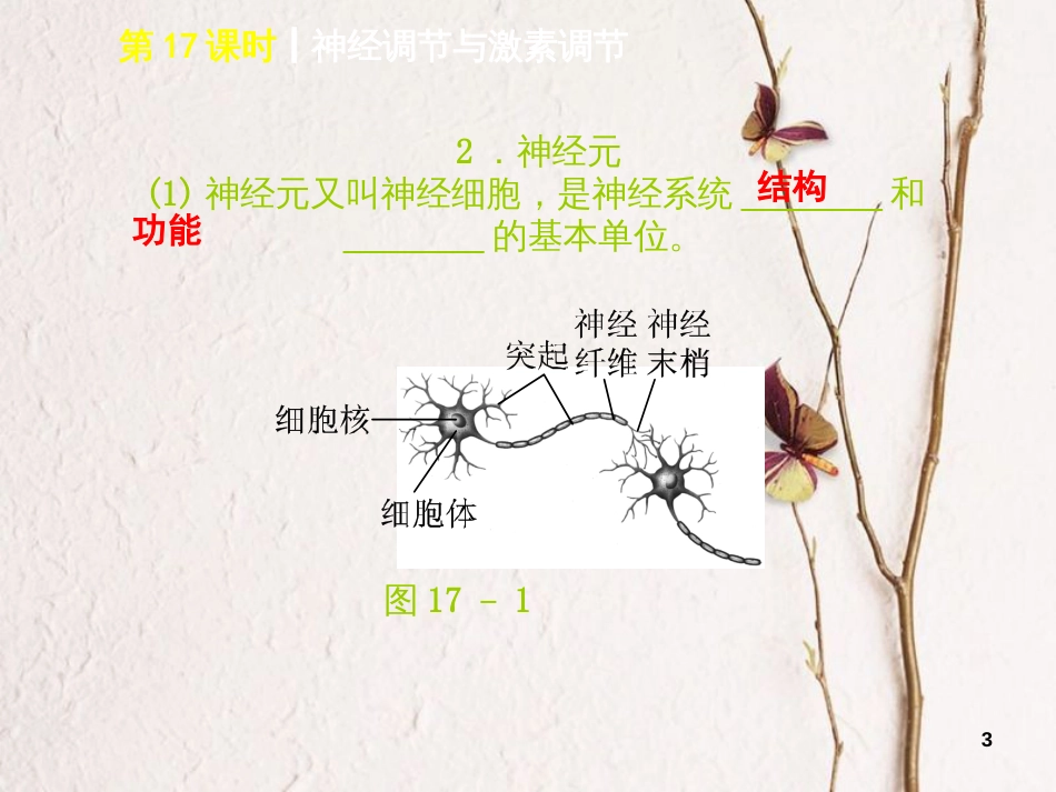 中考生物 第四单元 生物圈中的人 第17课时 神经调节与激素调节课件_第3页