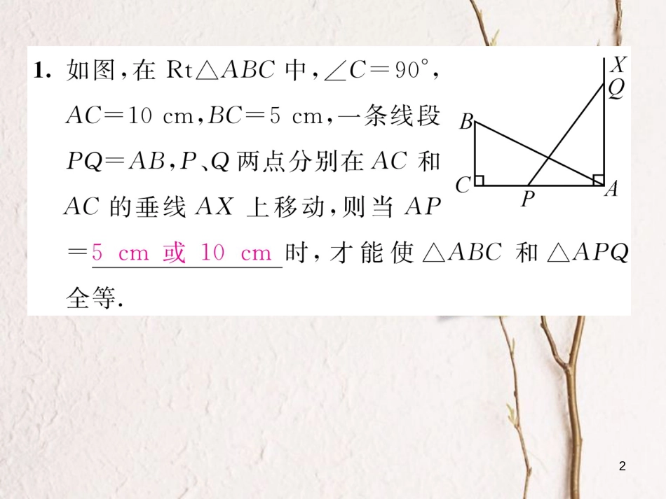 （毕节专版）八年级数学下册 第1章 三角形的证明 课题6 直角三角形全等的判定当堂检测课件 （新版）北师大版_第2页