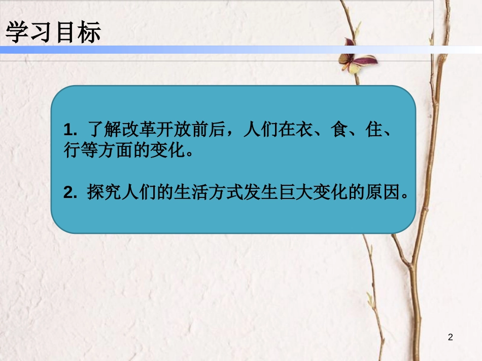 八年级历史下册 第六单元 19 社会生活的变迁课件 新人教版_第2页