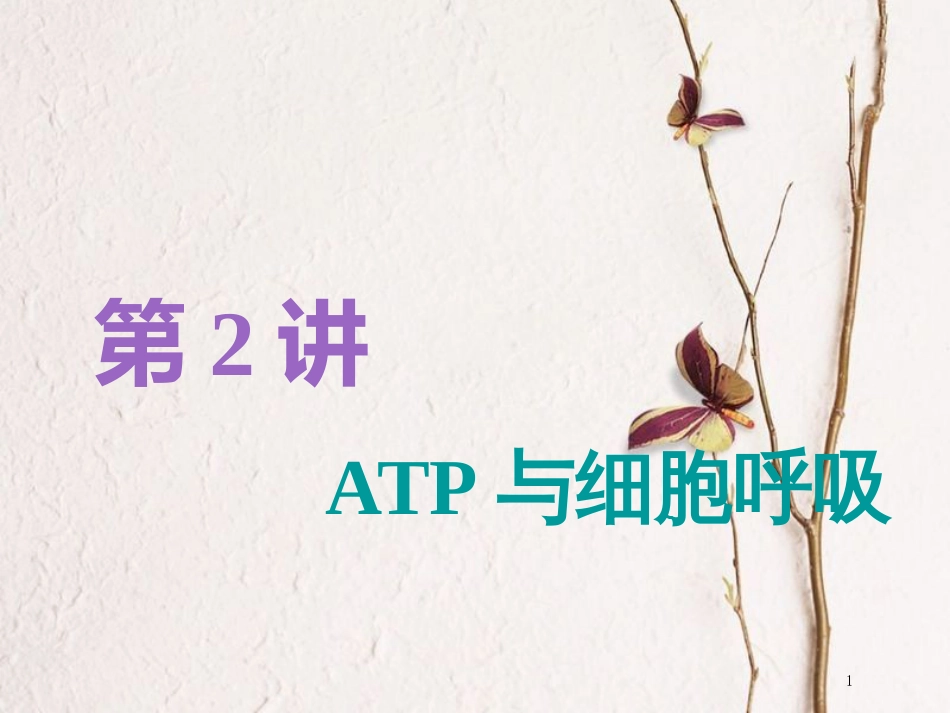 （全国通用版）2019版高考生物一轮复习 第1部分 分子与细胞 第三单元 细胞的能量供应和利用 第2讲 第1课时 ATP与细胞呼吸的过程精准备考实用课件_第1页