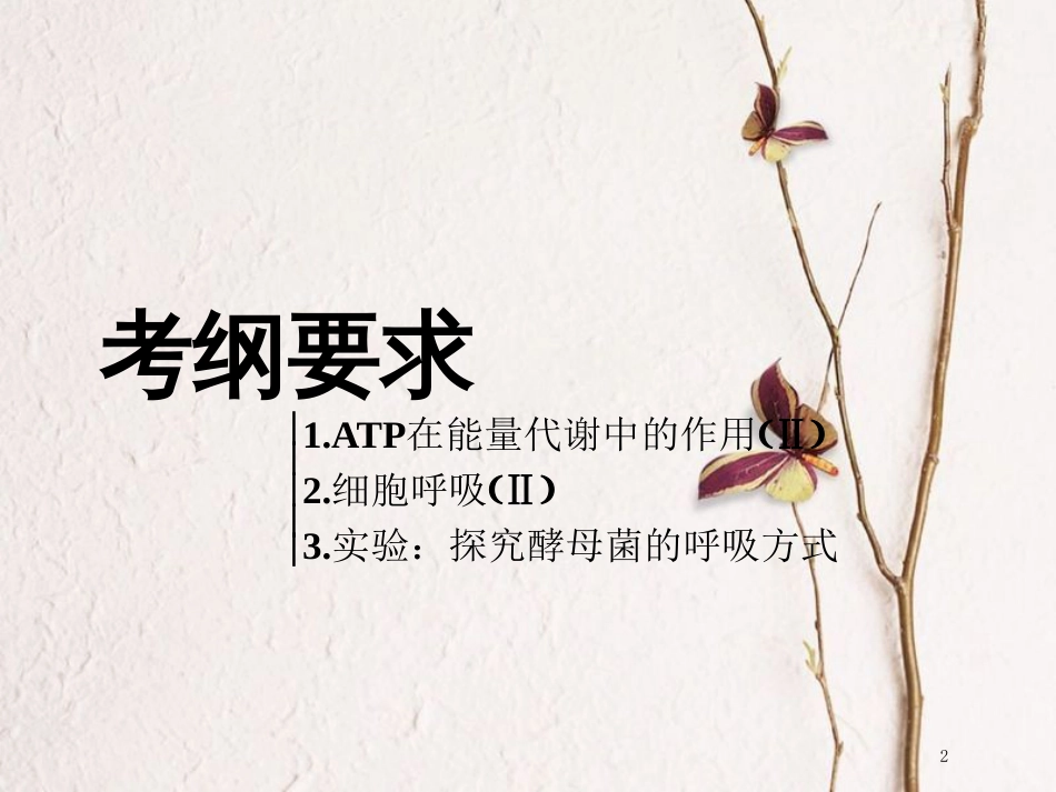 （全国通用版）2019版高考生物一轮复习 第1部分 分子与细胞 第三单元 细胞的能量供应和利用 第2讲 第1课时 ATP与细胞呼吸的过程精准备考实用课件_第2页