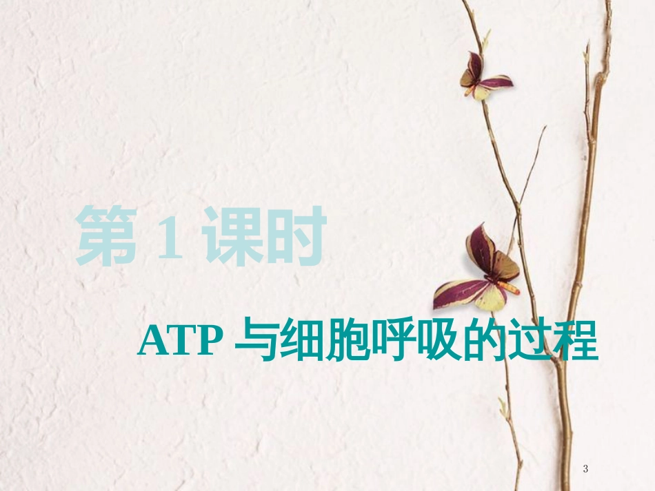 （全国通用版）2019版高考生物一轮复习 第1部分 分子与细胞 第三单元 细胞的能量供应和利用 第2讲 第1课时 ATP与细胞呼吸的过程精准备考实用课件_第3页