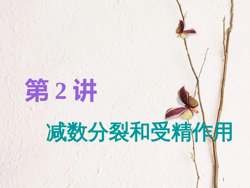 （全国通用版）2019版高考生物一轮复习 第1部分 分子与细胞 第四单元 细胞的生命历程 第2讲 减数分裂和受精作用精准备考实用课件_第1页