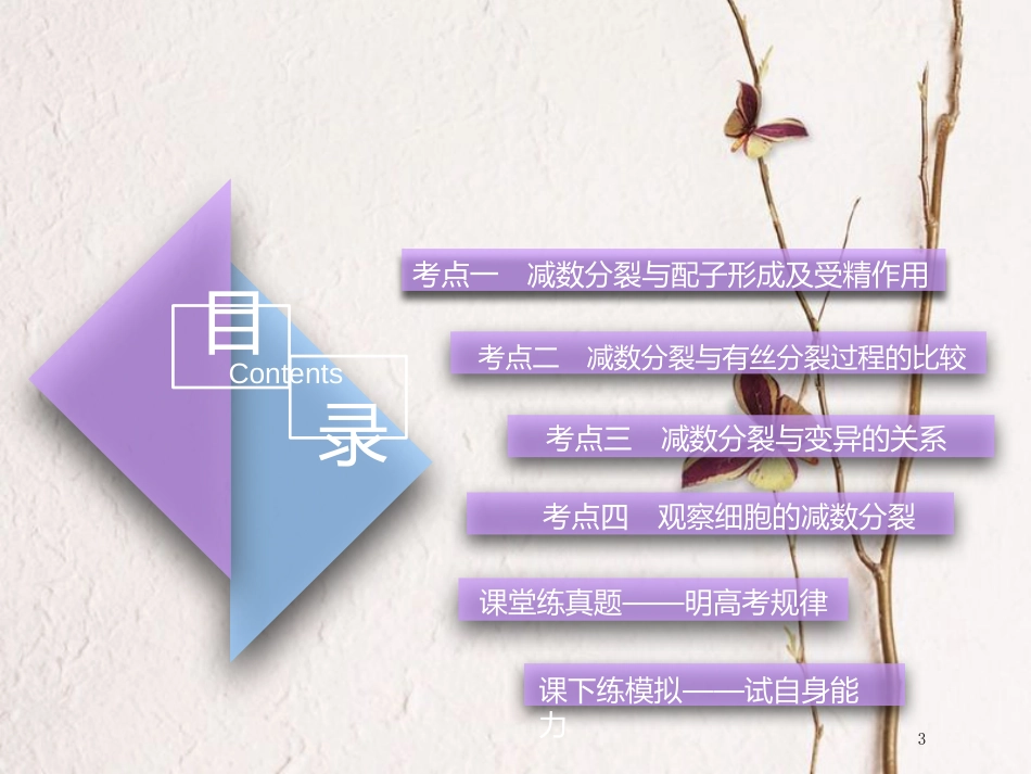 （全国通用版）2019版高考生物一轮复习 第1部分 分子与细胞 第四单元 细胞的生命历程 第2讲 减数分裂和受精作用精准备考实用课件_第3页