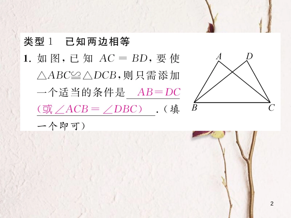 七年级数学下册 专题六 判定三角形全等的基本方法大归纳作业课件 （新版）北师大版_第2页