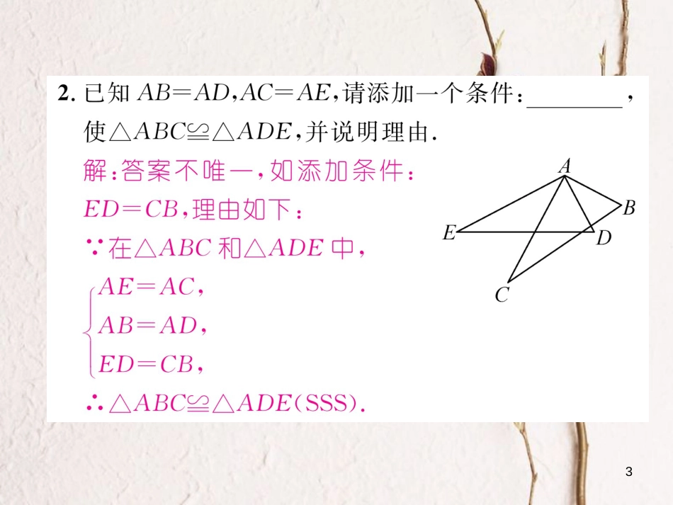 七年级数学下册 专题六 判定三角形全等的基本方法大归纳作业课件 （新版）北师大版_第3页