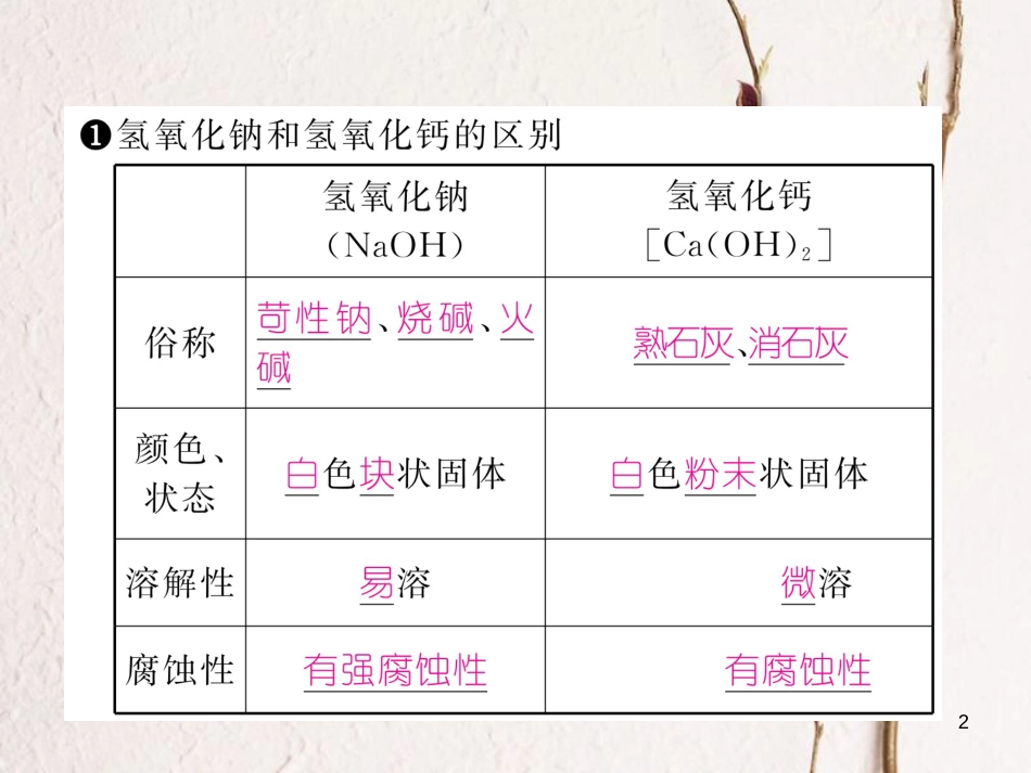 九年级化学下册 第10单元 酸和碱 课题1 常见的酸和碱 第3课时 常见的碱与碱的化学性质作业课件 （新版）新人教版_第2页