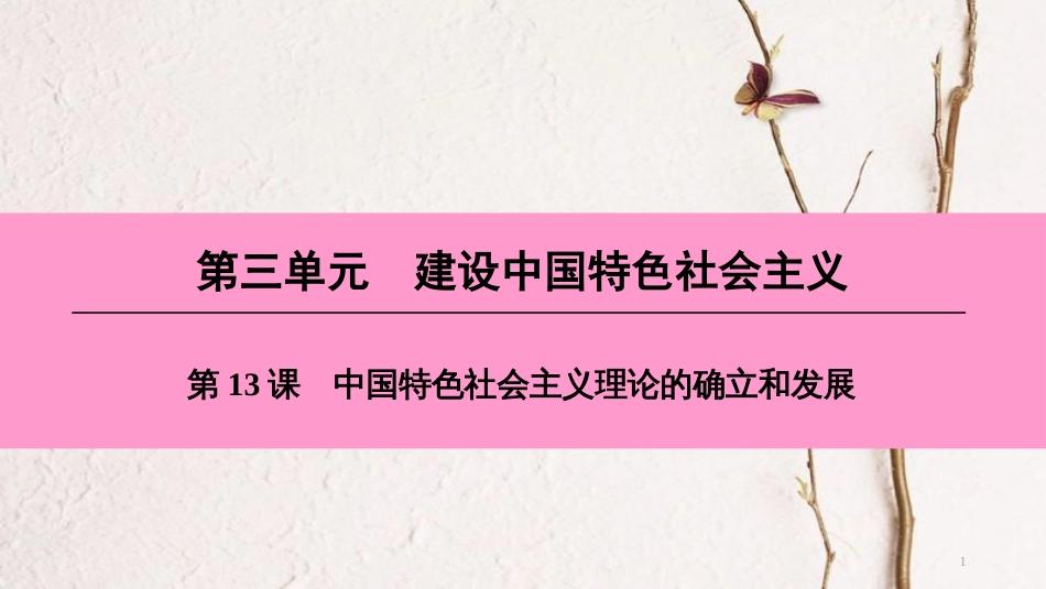 八年级历史下册 第三单元 建设中国特色社会主义 第13课 中国特色社会主义理论的确立和发展课件 北师大版_第1页