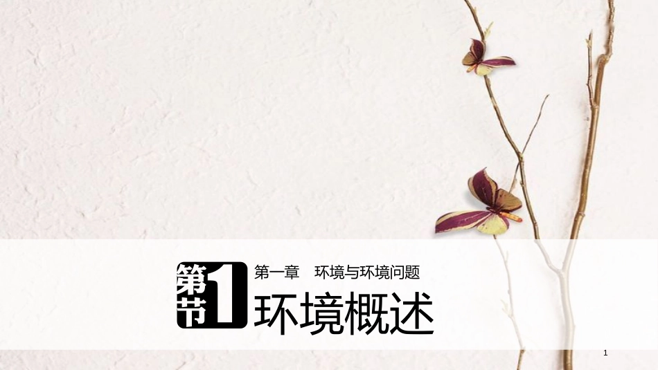 高中地理 第一章 环境与环境问题 第一节 环境概述同步备课课件 湘教版选修6_第1页