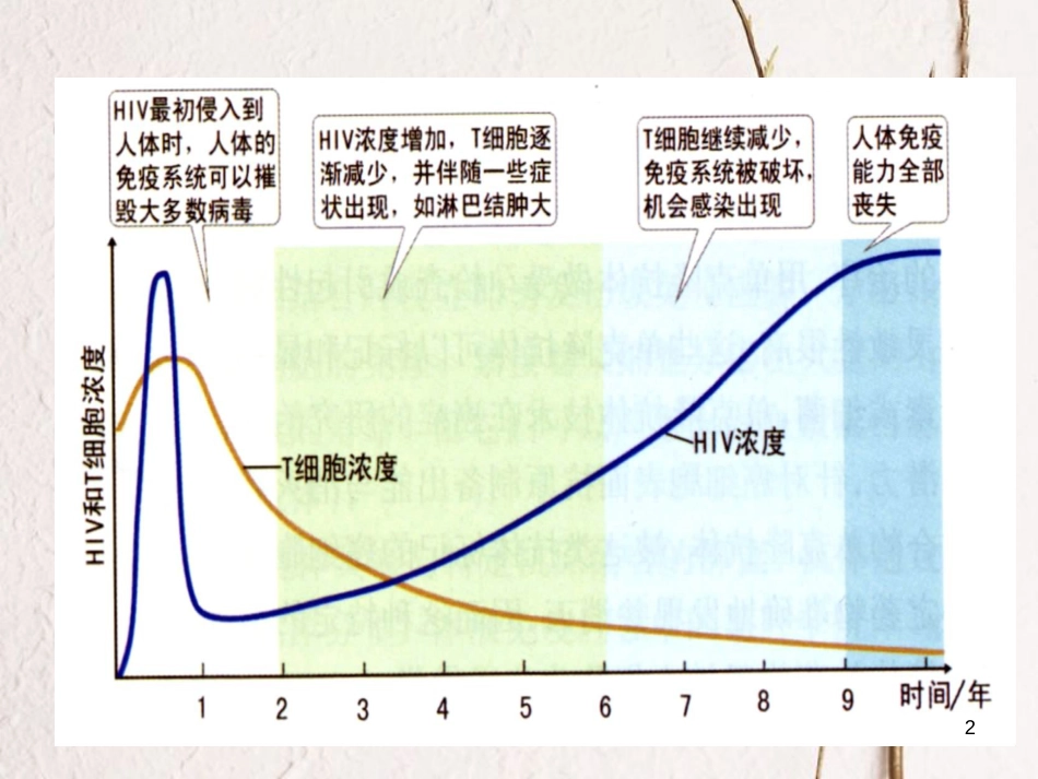 河北省南宫市高中生物第二章动物和人体生命活动的调节2.4免疫调节（2）课件新人教版必修3_第2页