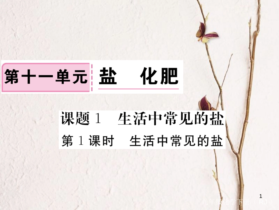 （通用）九年级化学下册 第11单元 盐 化肥 课题1 生活中常见的盐 第1课时 生活中常见的盐课件 （新版）新人教版_第1页