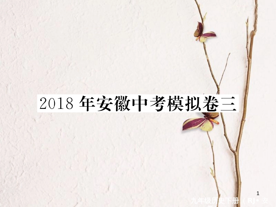 （安徽专版）九年级历史下册 模拟卷（三）课件 新人教版_第1页