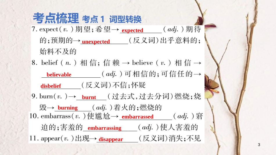 云南省中考英语学业水平精准复习方案 第一部分 教材复习 课时21 九全 Units 11-12课件_第3页