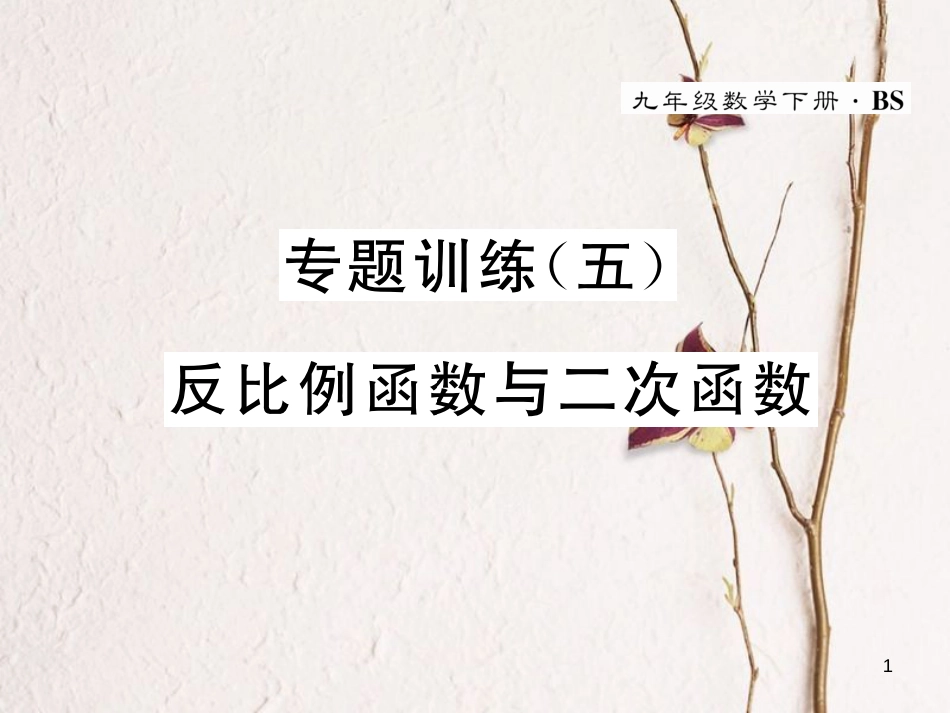 九年级数学下册 专题训练5 反比例函数与二次函数作业课件 （新版）北师大版_第1页