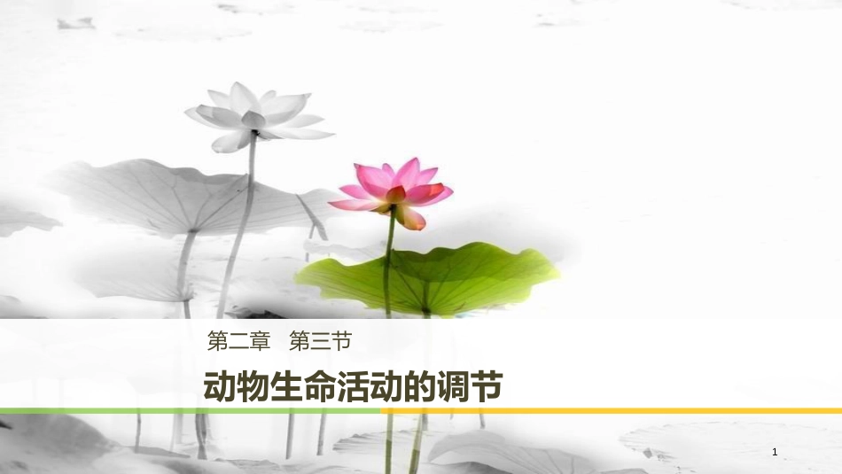 高中生物 第2章 细胞的化学组成 2.3 动物生命活动的调节课件 苏教版必修1_第1页