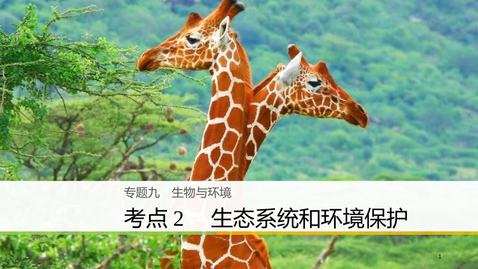 （浙江选考）高三生物二轮专题复习 专题九 生物与环境 考点2 生态系统和环境保护课件 新人教版_第1页