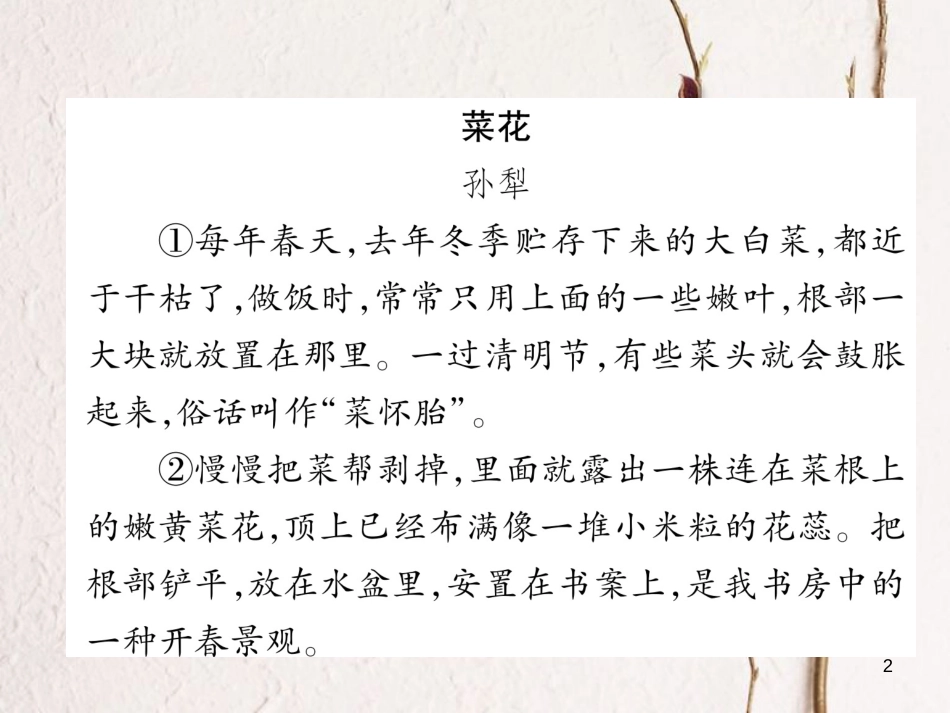 八年级语文下册 双休作业10课件 新人教版_第2页