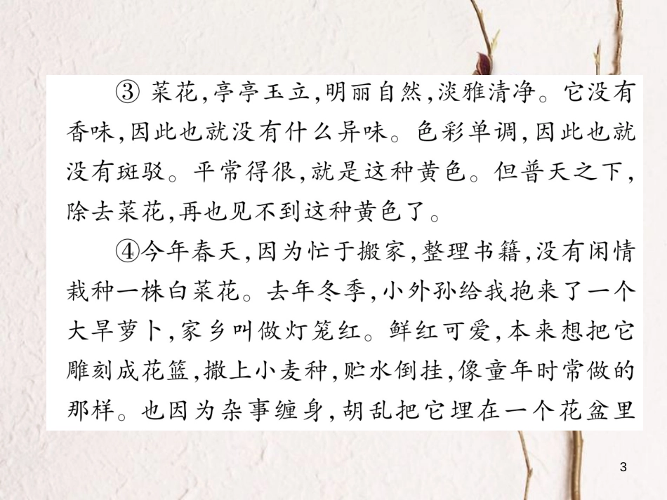 八年级语文下册 双休作业10课件 新人教版_第3页