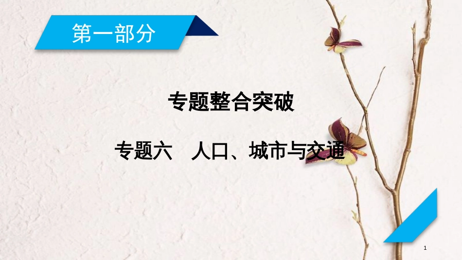 年高考地理二轮复习 专题6 人口、城市与交通（第1课时）课件_第1页